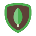 /assets/mongodb-DMR51fex.png